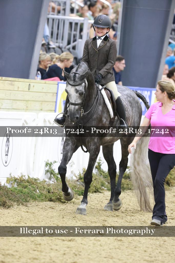 Proof Number 24R13_17242
