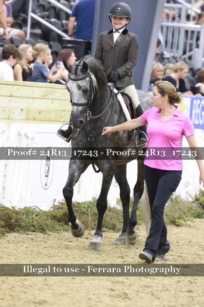 Proof Number 24R13_17243