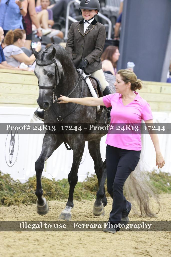 Proof Number 24R13_17244