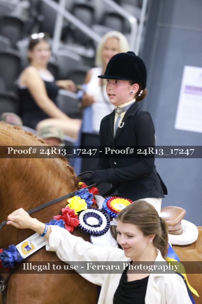 Proof Number 24R13_17247