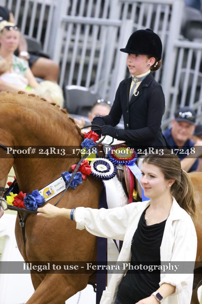 Proof Number 24R13_17248