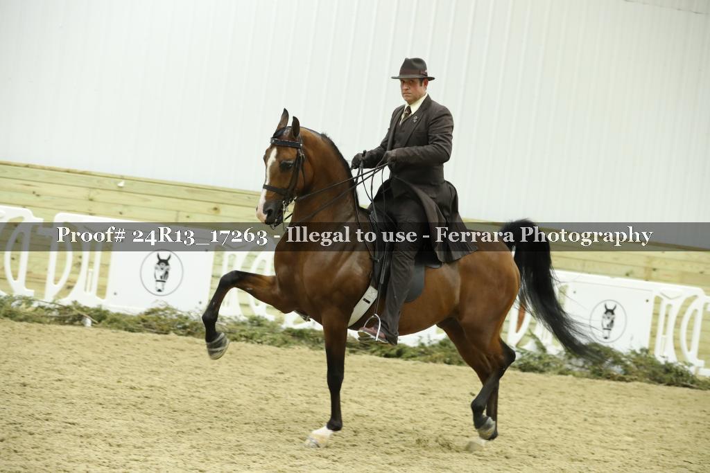 Proof Number 24R13_17263