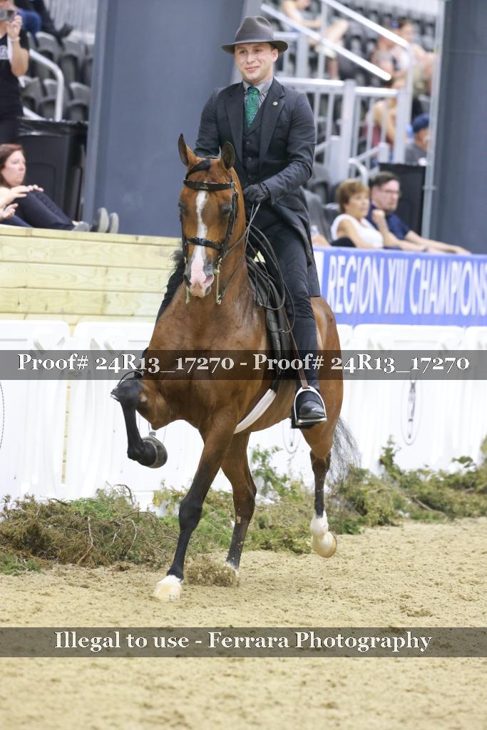 Proof Number 24R13_17270