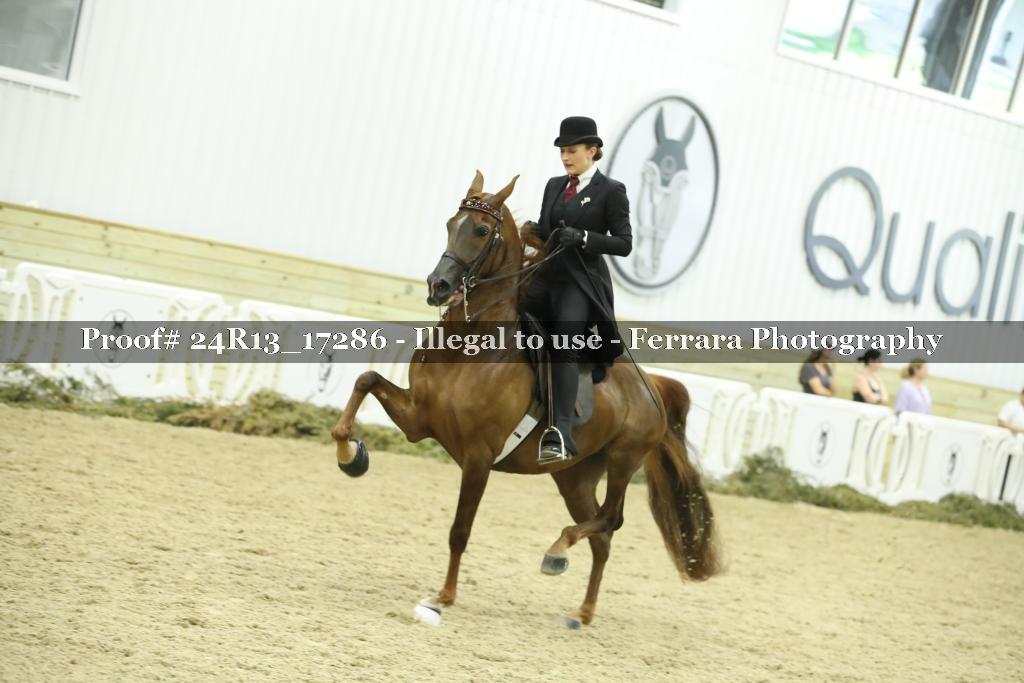 Proof Number 24R13_17286