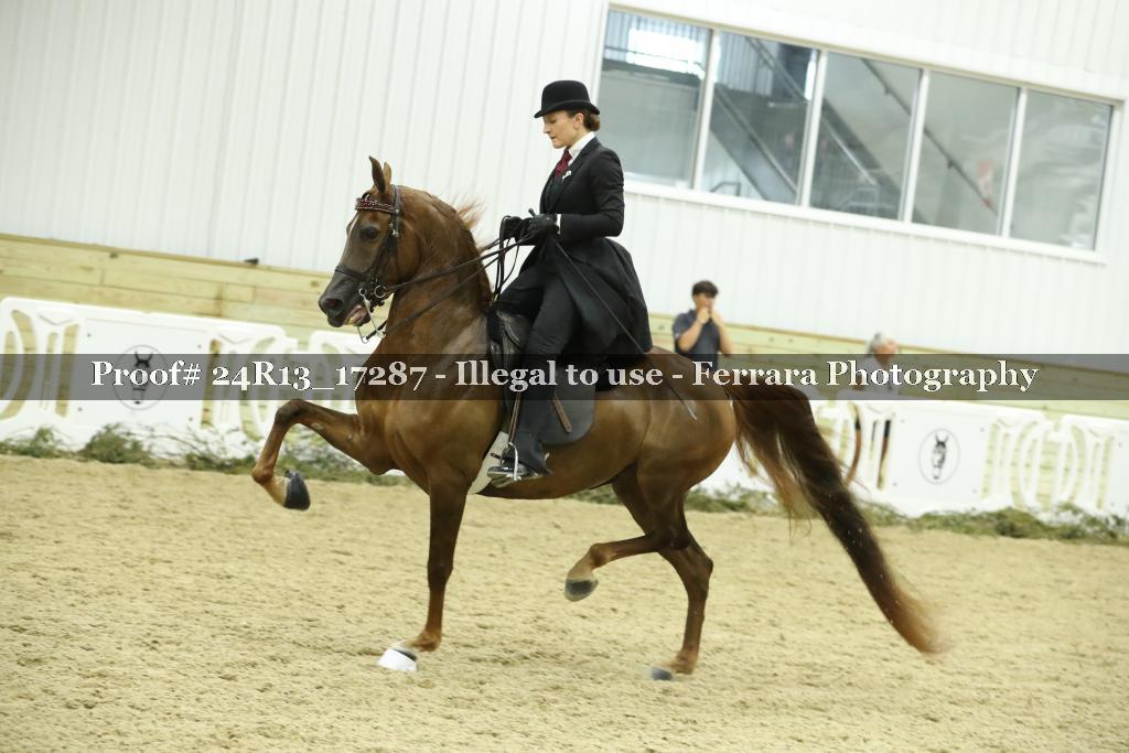 Proof Number 24R13_17287