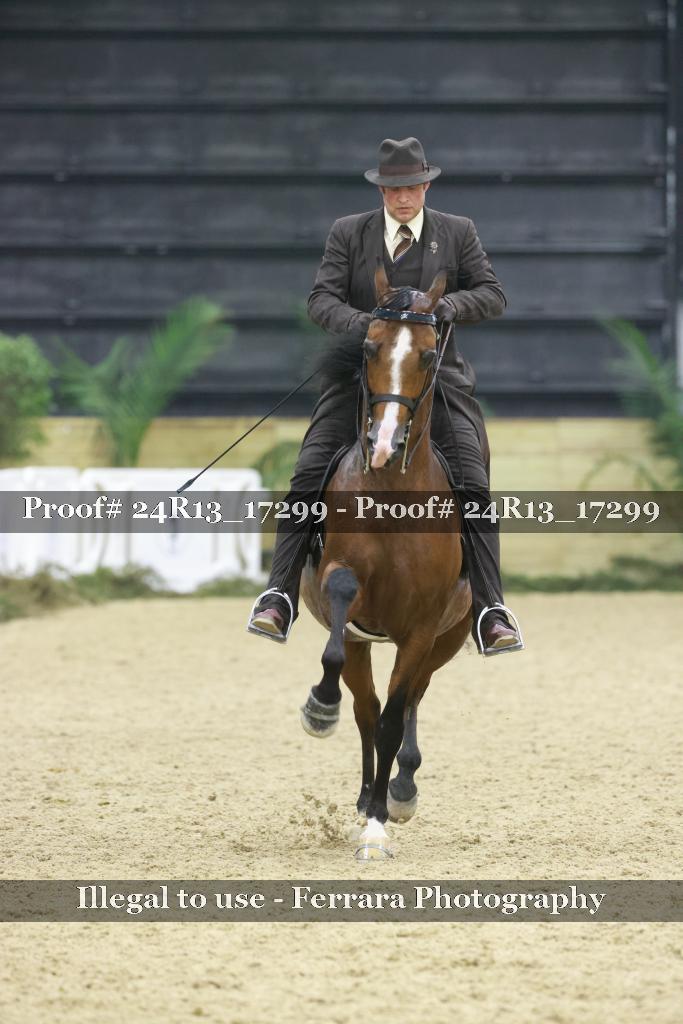 Proof Number 24R13_17299