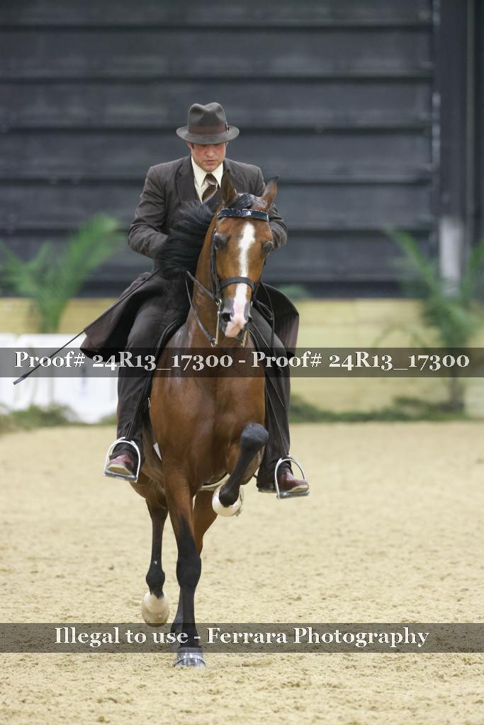 Proof Number 24R13_17300