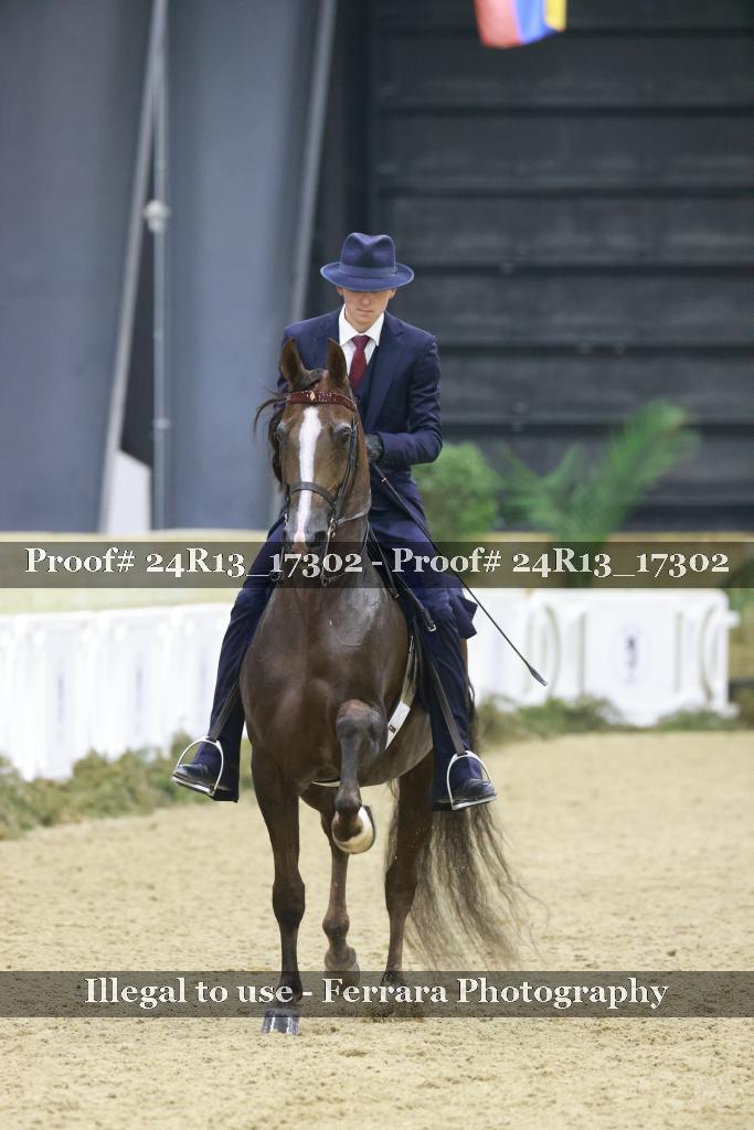 Proof Number 24R13_17302