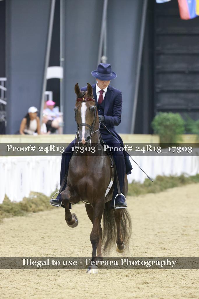 Proof Number 24R13_17303