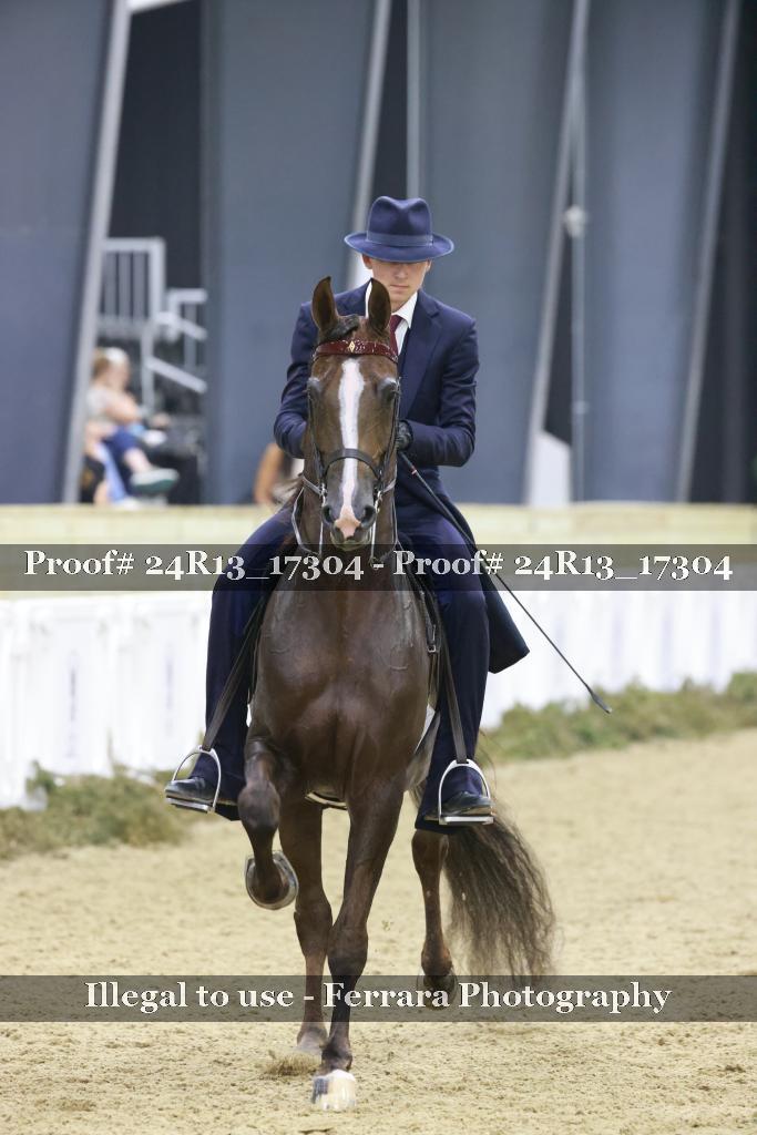 Proof Number 24R13_17304