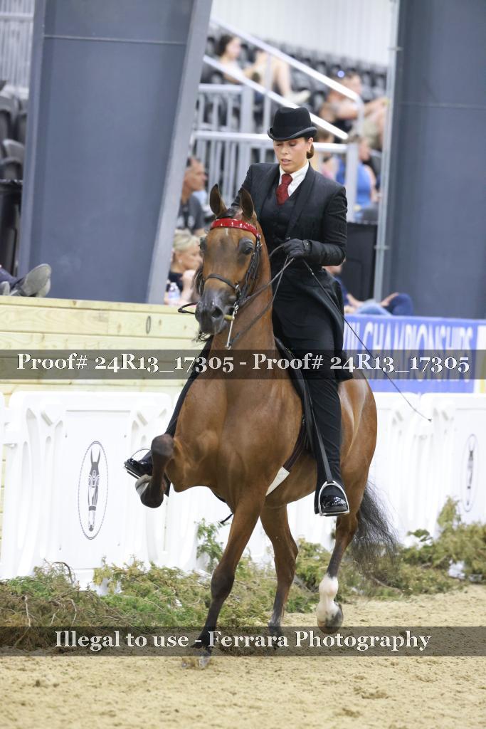 Proof Number 24R13_17305