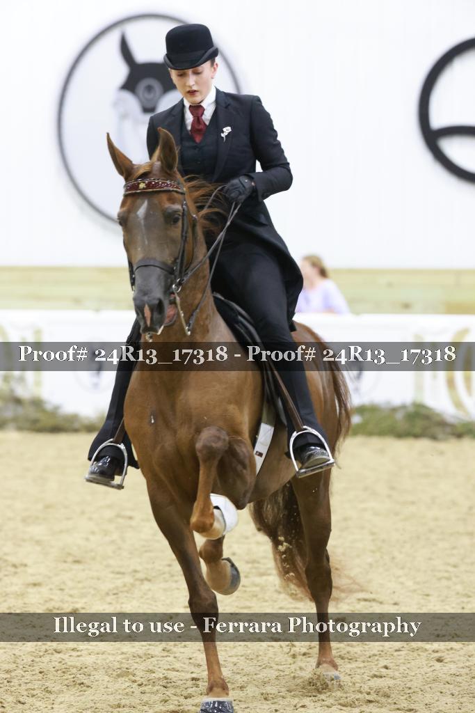 Proof Number 24R13_17318