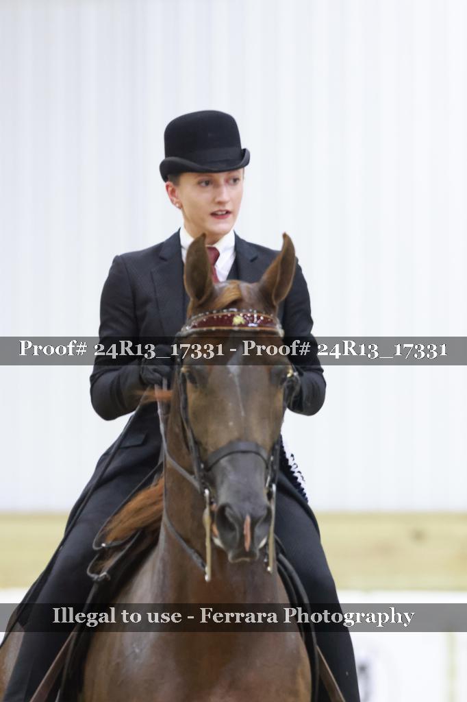 Proof Number 24R13_17331