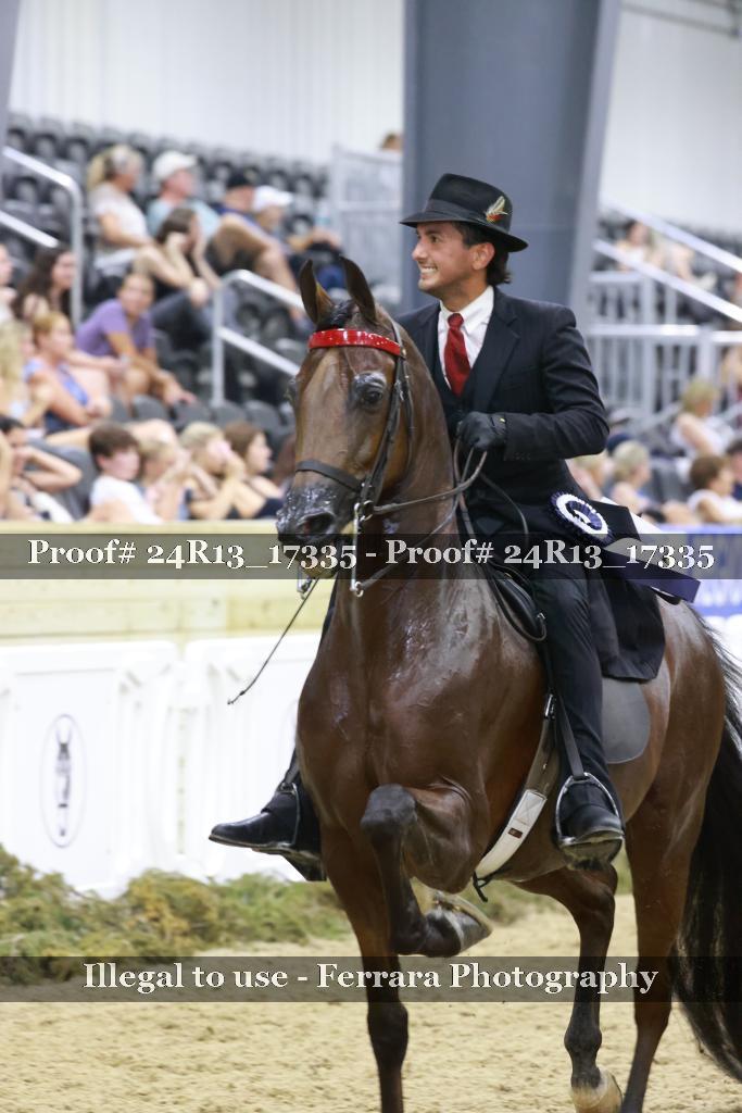 Proof Number 24R13_17335