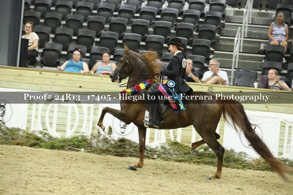 Proof Number 24R13_17405
