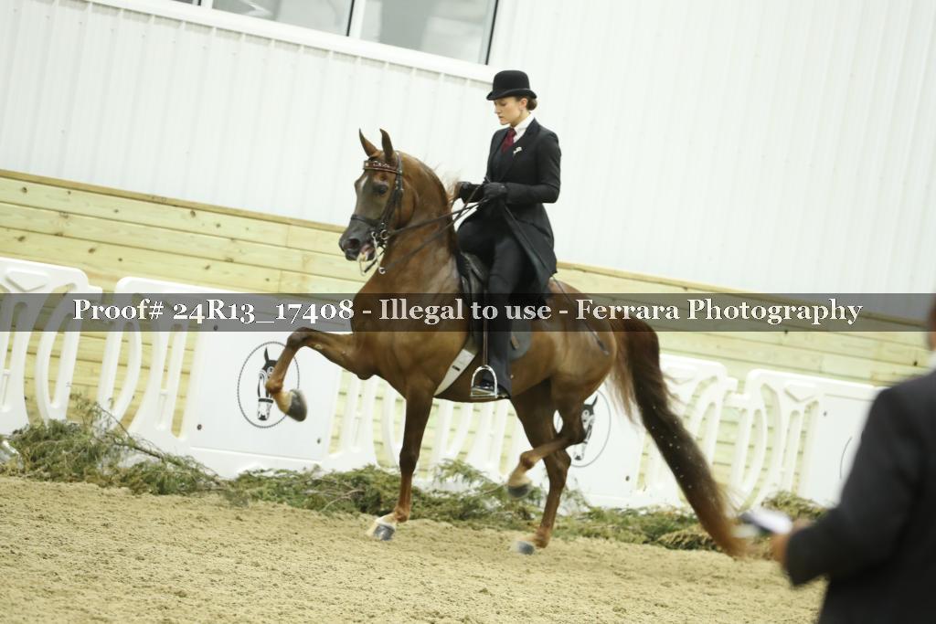 Proof Number 24R13_17408