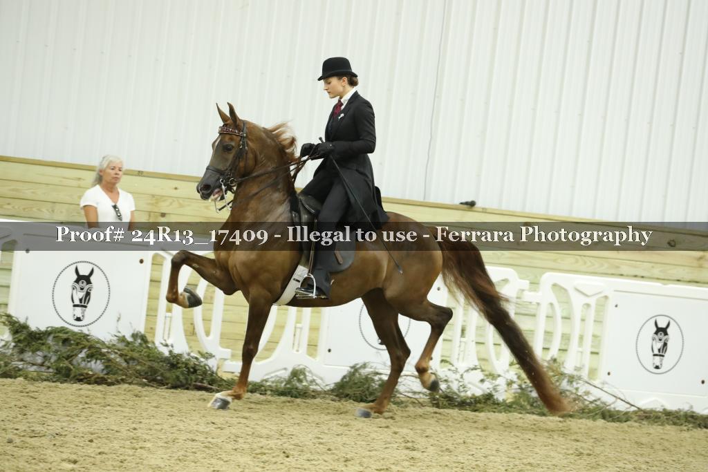 Proof Number 24R13_17409