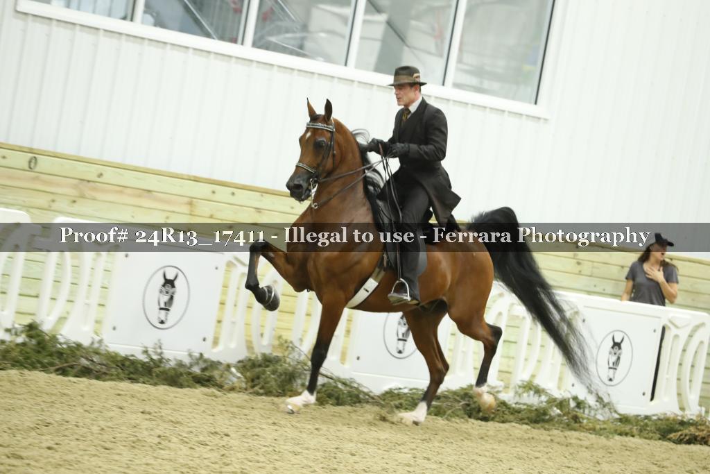 Proof Number 24R13_17411