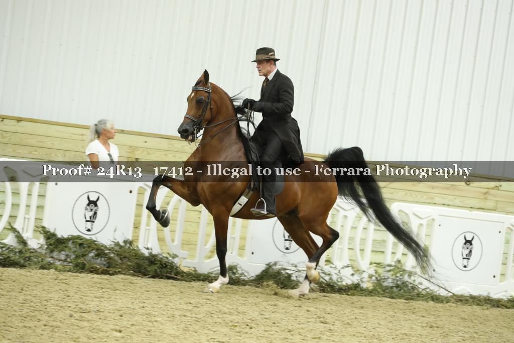 Proof Number 24R13_17412