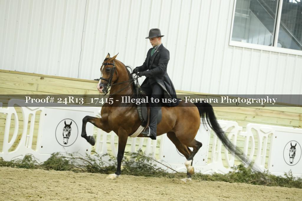 Proof Number 24R13_17415