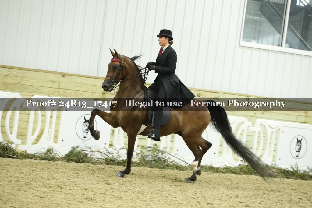 Proof Number 24R13_17417