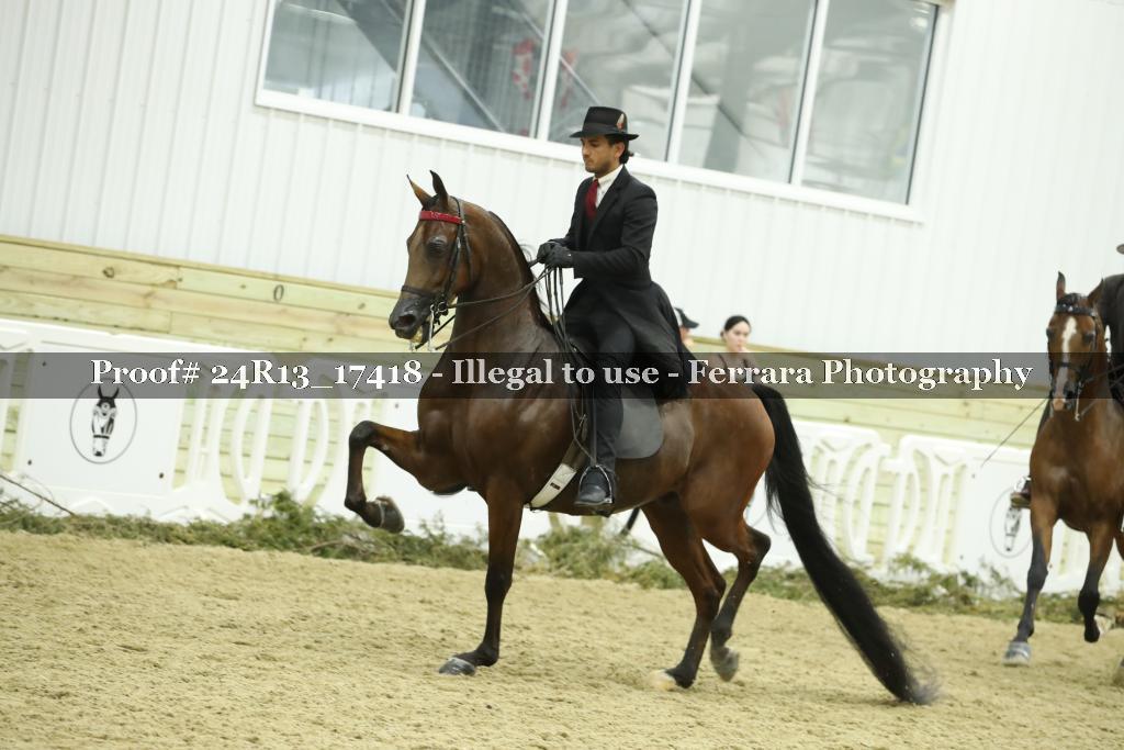 Proof Number 24R13_17418