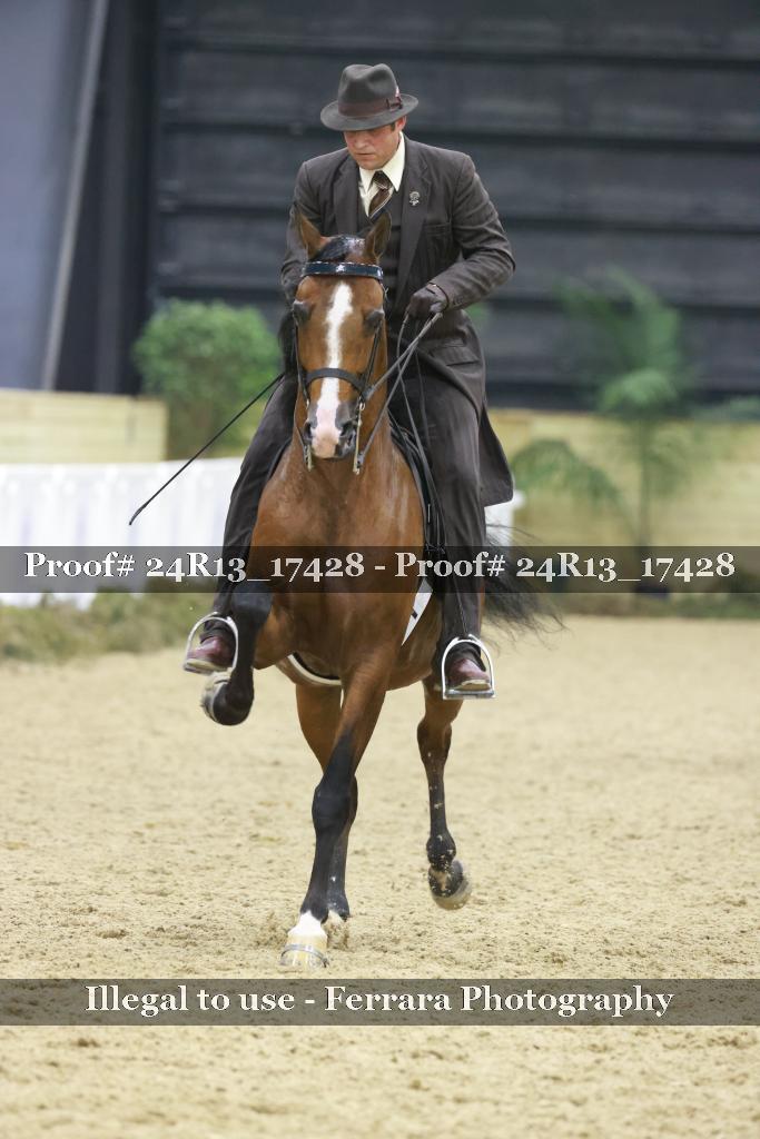 Proof Number 24R13_17428