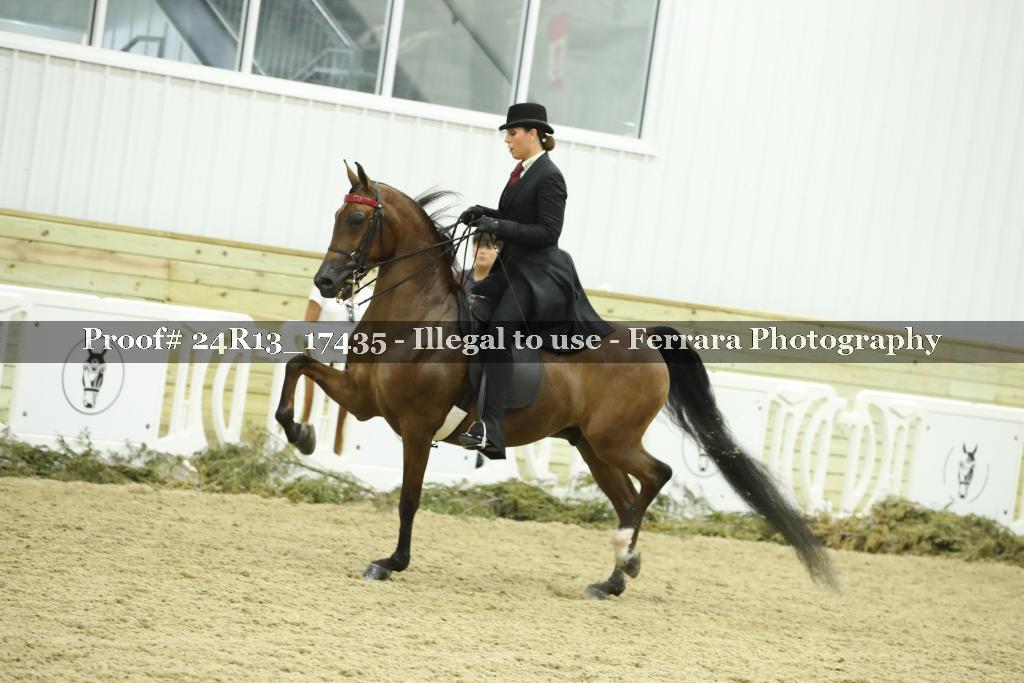Proof Number 24R13_17435