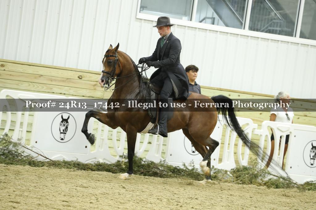 Proof Number 24R13_17442