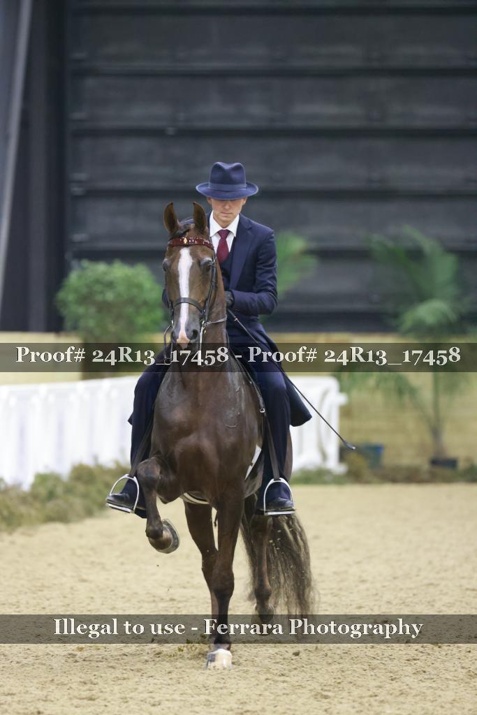 Proof Number 24R13_17458