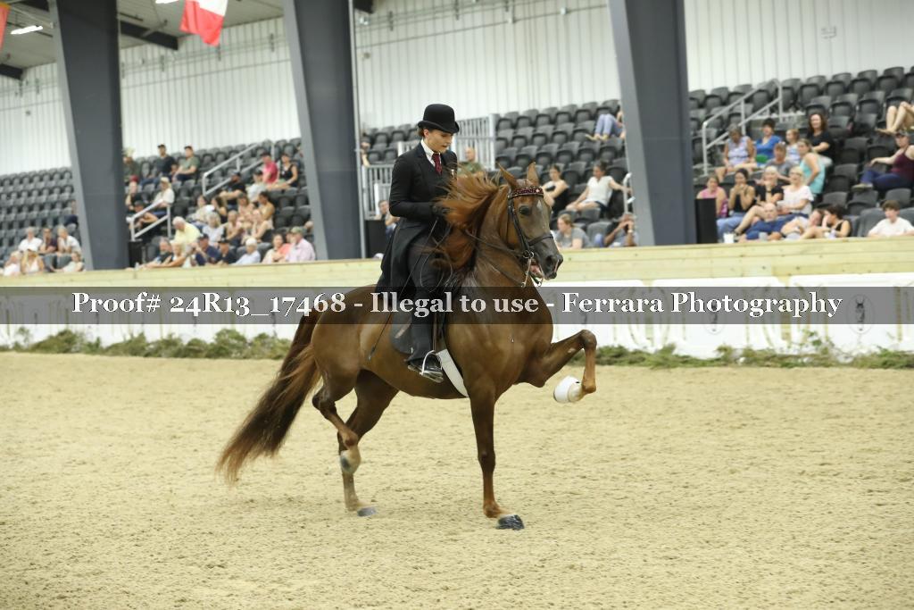 Proof Number 24R13_17468