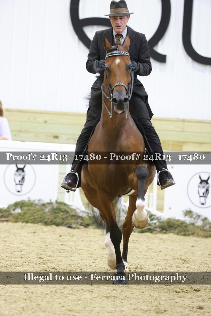 Proof Number 24R13_17480