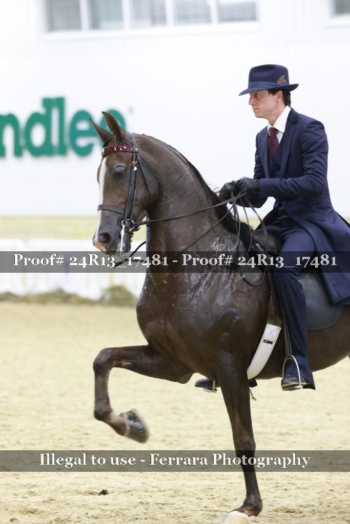 Proof Number 24R13_17481