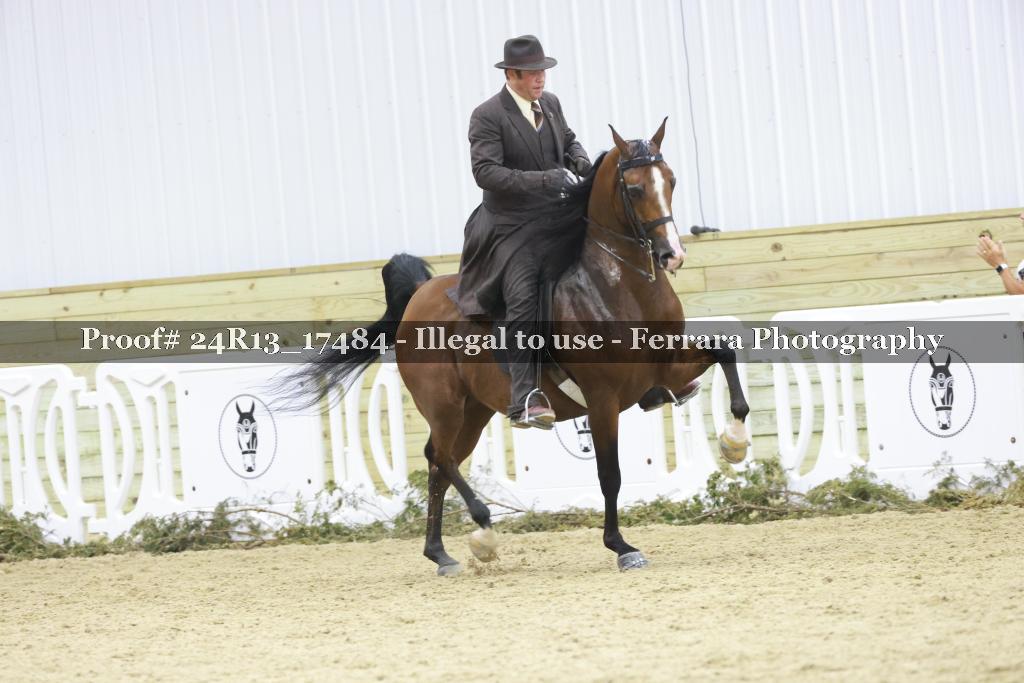 Proof Number 24R13_17484