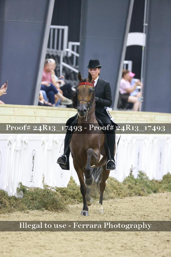 Proof Number 24R13_17493