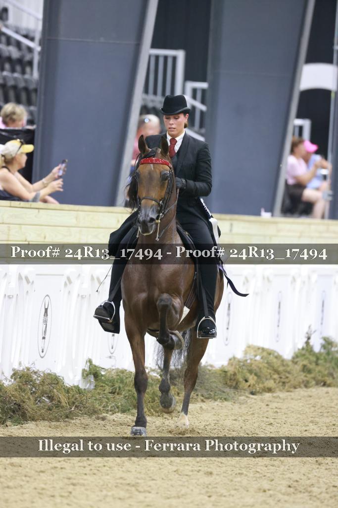 Proof Number 24R13_17494