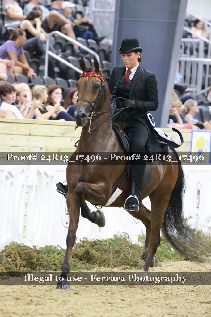 Proof Number 24R13_17496