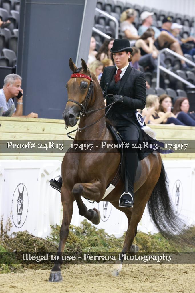 Proof Number 24R13_17497