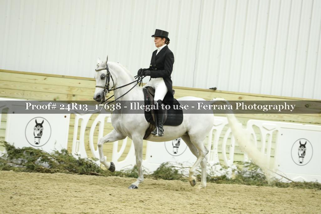 Proof Number 24R13_17638