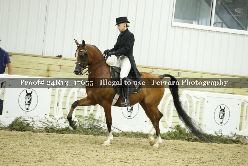 Proof Number 24R13_17655