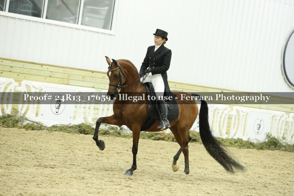 Proof Number 24R13_17659