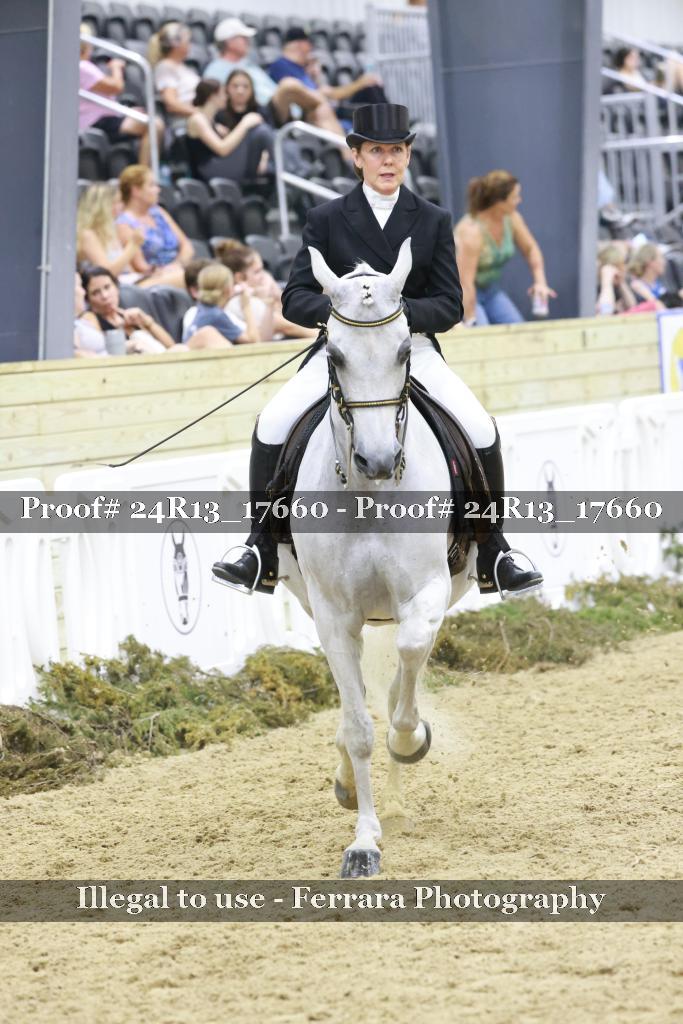 Proof Number 24R13_17660