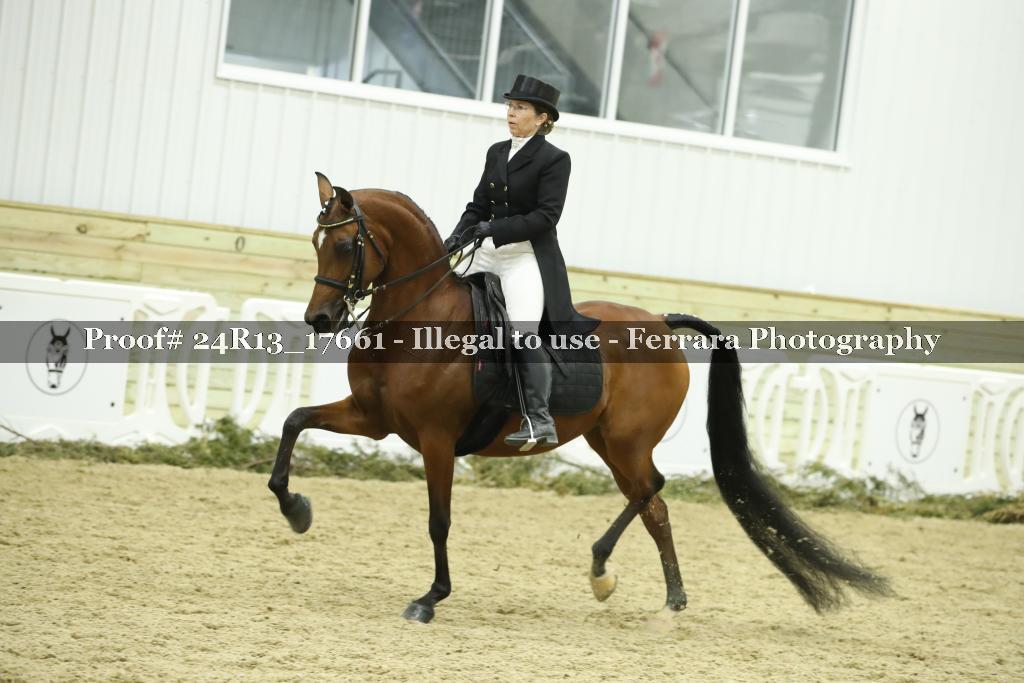 Proof Number 24R13_17661