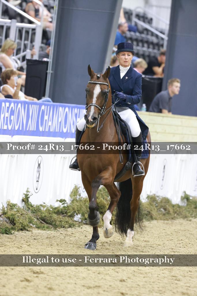 Proof Number 24R13_17662