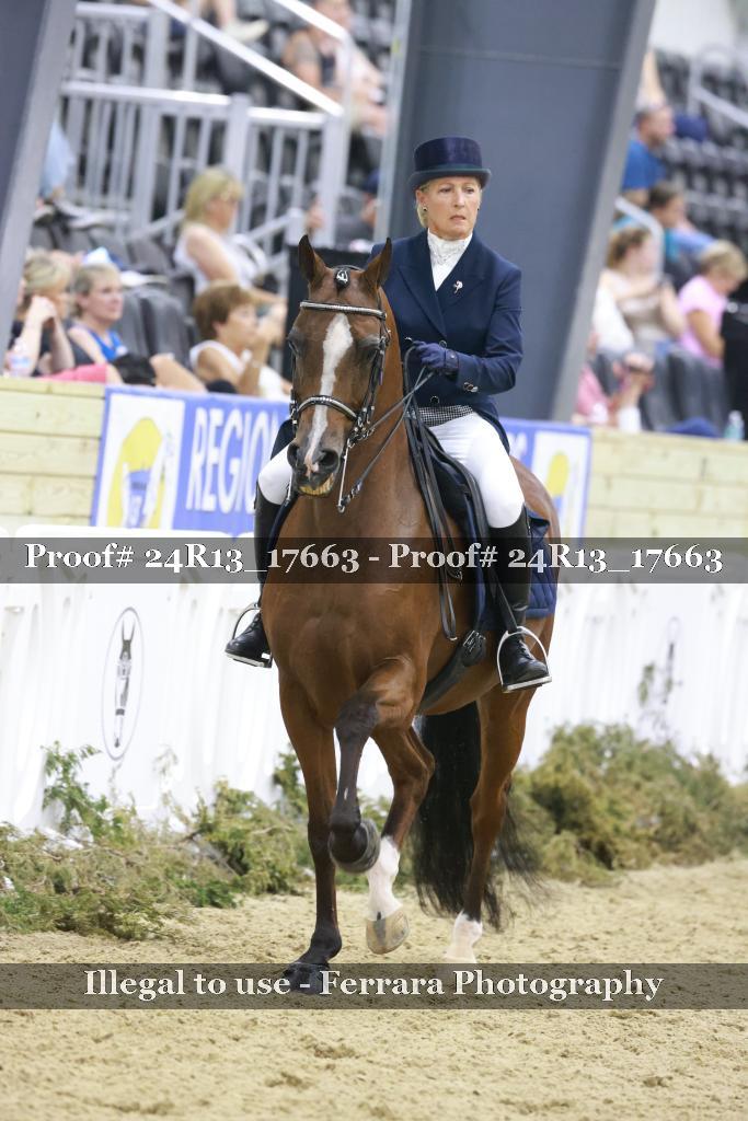 Proof Number 24R13_17663