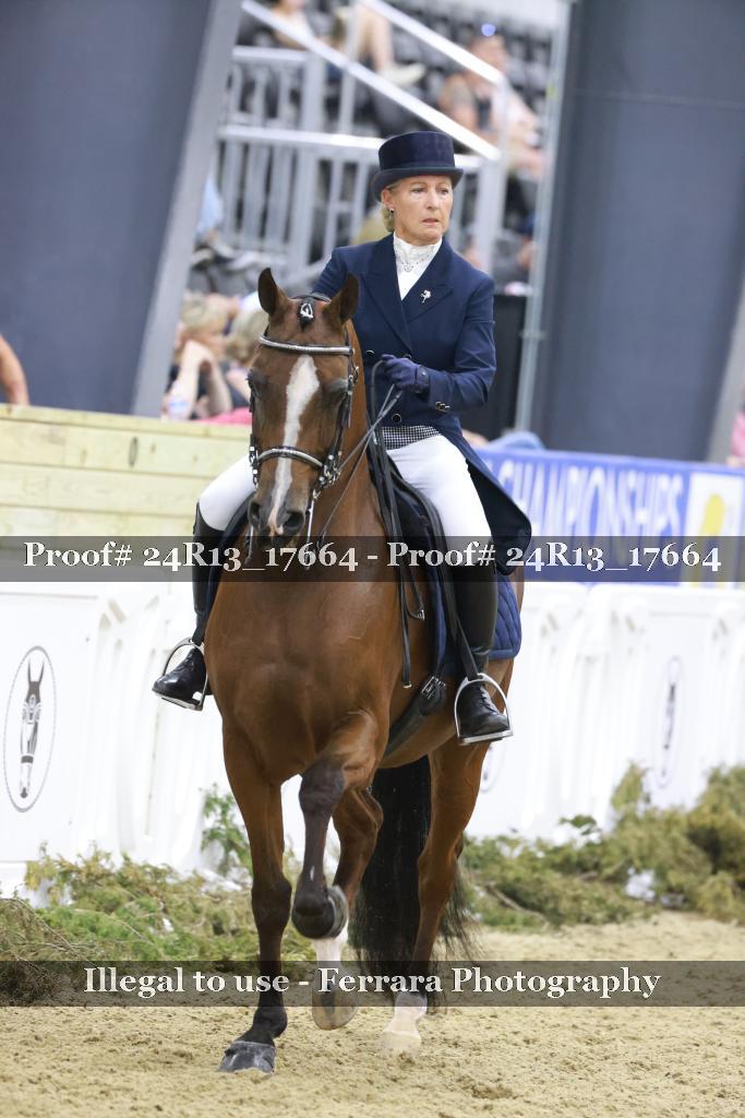 Proof Number 24R13_17664
