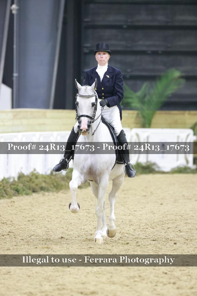 Proof Number 24R13_17673