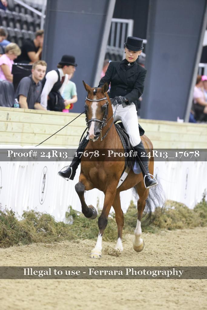 Proof Number 24R13_17678