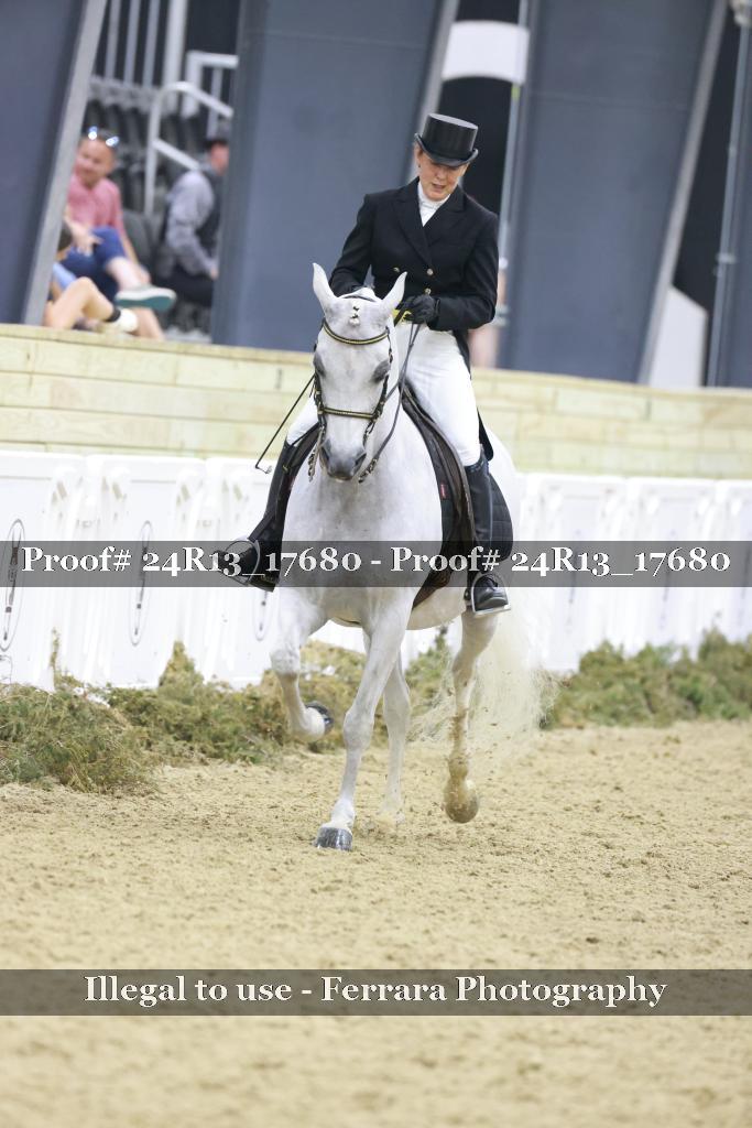 Proof Number 24R13_17680