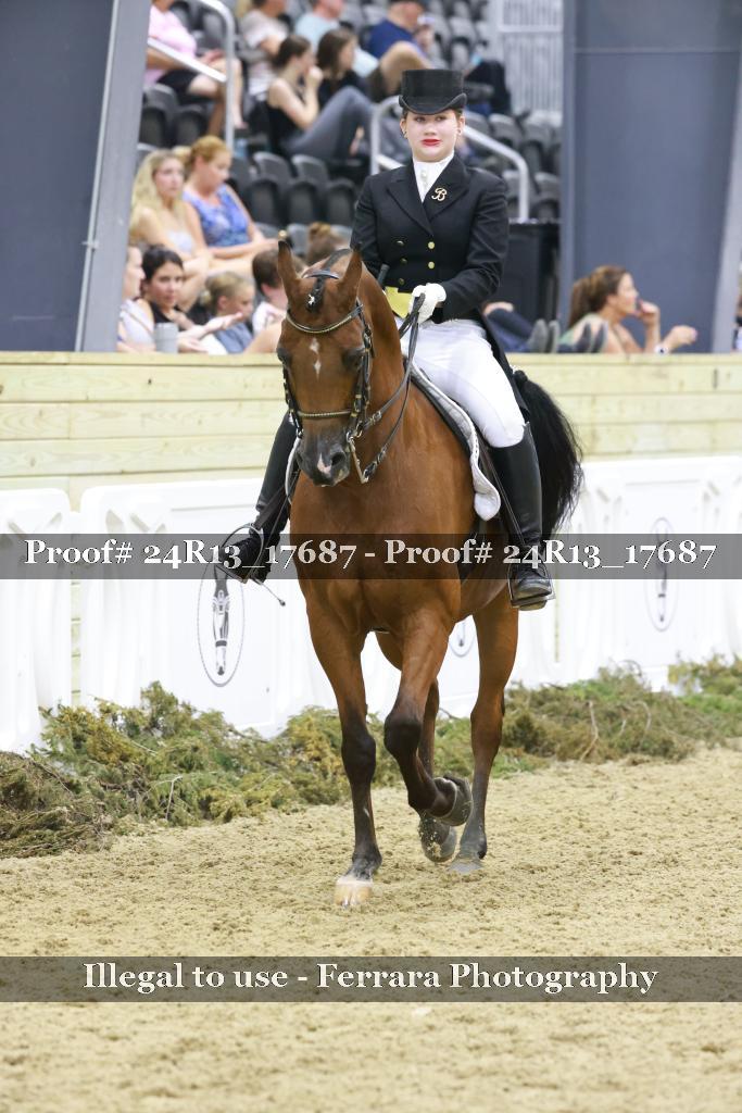 Proof Number 24R13_17687